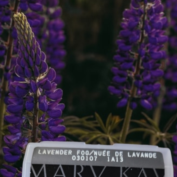 Mary Kay "Lavender Fog" Eye Color - Picture 1 of 4